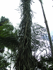s_A_PICT0088_thumb.png